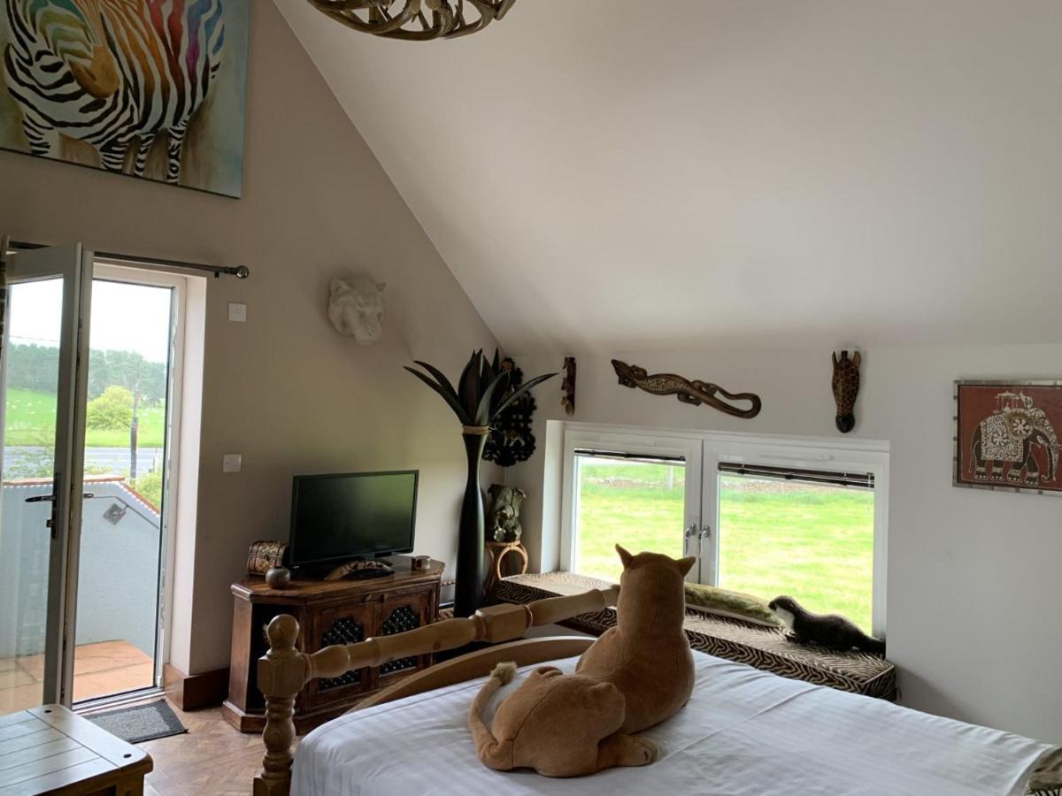 Bed & Breakfast Llamas Pyjamas